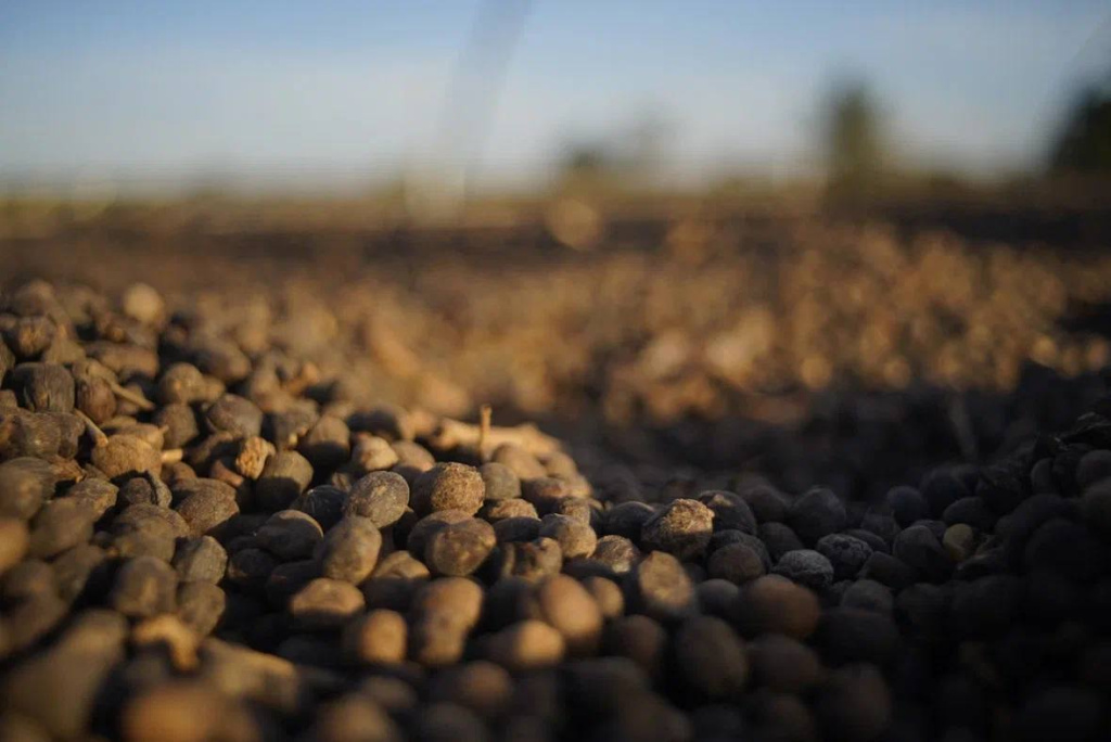 photo_2025-11-12 10.47.24.jpeg