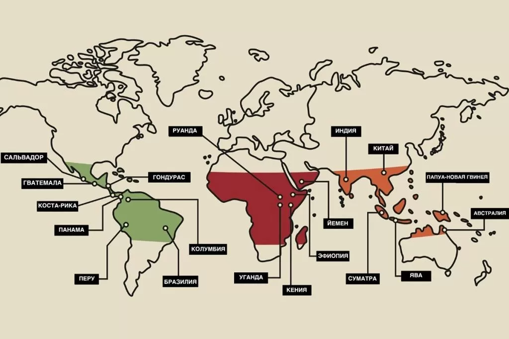 ConvertedPNG0 2.png ConvertedPNG0 2.png