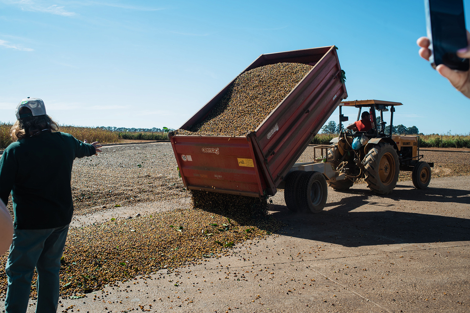 БРАЗИЛИЯ КАРИНА СЕЙБТ