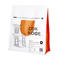 БРАЗИЛИЯ ГАБРИЭЛЬ НУНЕС