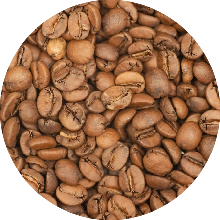 БРАЗИЛИЯ ДАНИЛО БАРБОСА