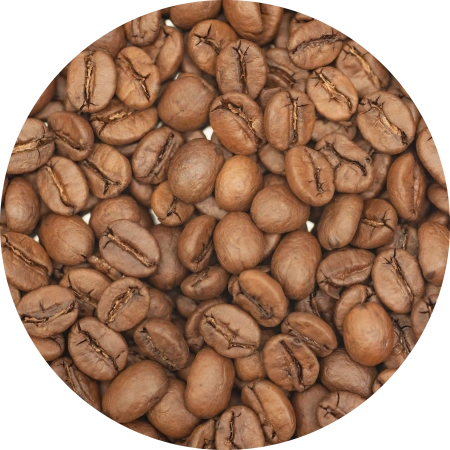 БРАЗИЛИЯ КАРИНА СЕЙБТ