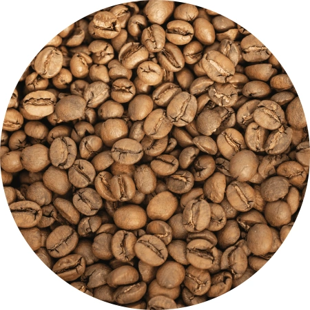 БРАЗИЛИЯ ГАБРИЭЛЬ НУНЕС БРАЗИЛИЯ ГАБРИЭЛЬ НУНЕС