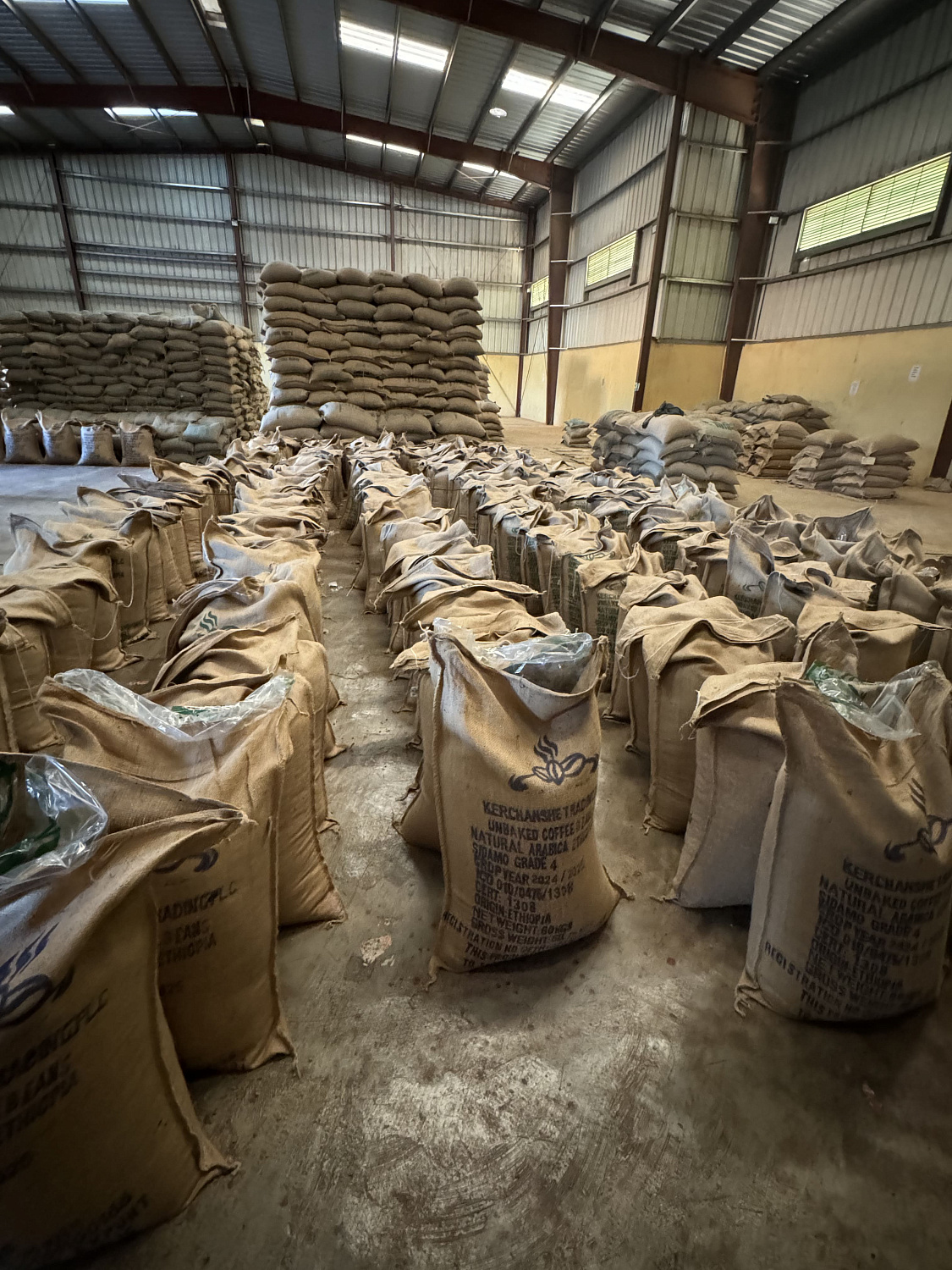 ЭФИОПИЯ ВОЛЛАГА АНФИЛО ЭФИОПИЯ ВОЛЛАГА АНФИЛО